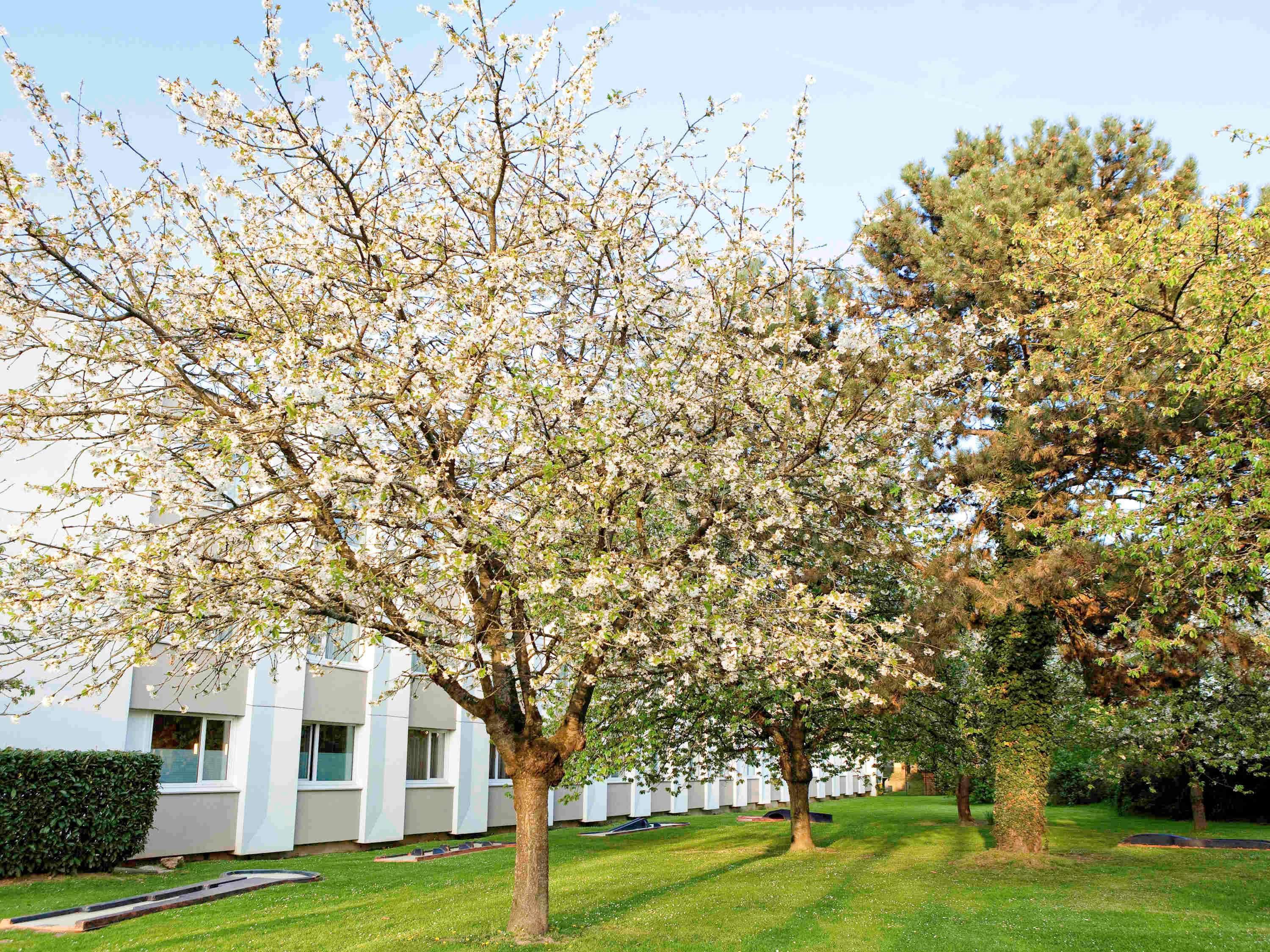 Novotel Saclay Exterior foto